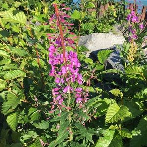 Meet your Posher, Kathryn